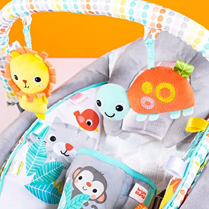Bright Starts Comfy Baby Bouncer Soothing Vibrations Infant Seat - Taggies, Music, Removable -Toy Bar, 0-6 Months Up to 20 lbs (Whimsical Wild)