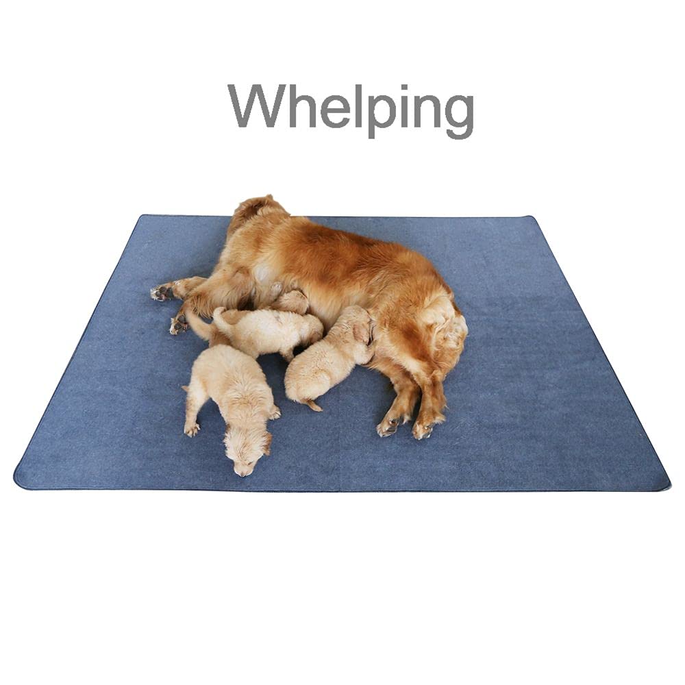 Peepeego Non-Slip Dog Pads Extra Large 72" x 72", Washable Puppy Pads with Fast Absorbent, Reusable, Waterproof for Training, Whelping, Housebreaking, Incontinence, for Playpen