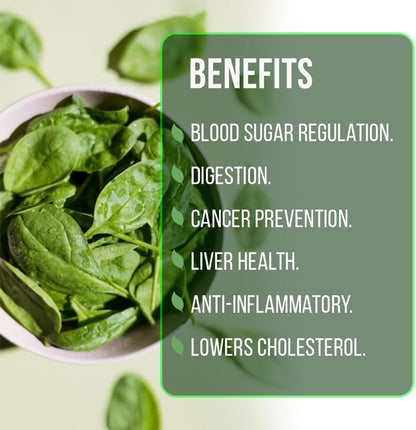 (4 Pack) Longevity Spinach Plant | Real Live Vegetable Plant for Sale | Nutrient-Rich Superfood | Easy to Grow Live