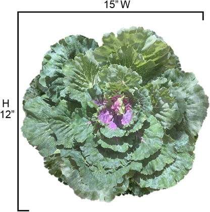 Admired By Nature Faux Cabbage Artificial Vegetables, Realistic Fake Food Plant Props for Home & Kitchen Decoration,
