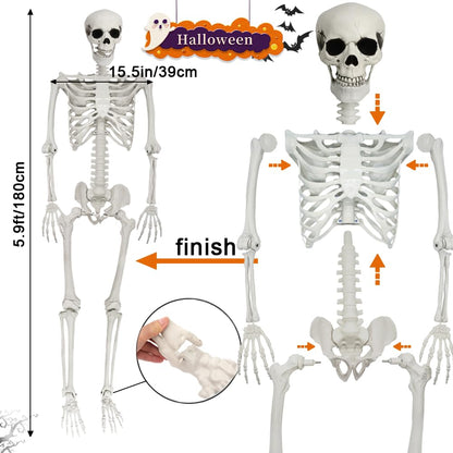 UMEELR 5.9FT Poseable Life Size Skeleton, Plastic Full Size Human Skeleton with Movable Joints for Halloween Garden Party Decoration