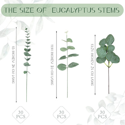 Giegxin 90 Pcs 3 Kinds Mixed Artificial Eucalyptus Leaves Stems Bulk Silver Dollar Leaves Picks Dried Eucalyptus Bundle Faux Spray for Wedding Vase Bouquet Floral Arrangement (Green)