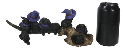 Ebros Gift Lifelike Witching Hour Halloween 5 Black Cats with Witch Hat Riding Long Magical Broomstick Figurine with Glass Eyes Witches Wicca Occult Feline Kittens Decor Figurine