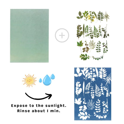 UrekaGo Cyanotype Paper Refill Kit - 20 Pre-Coated 8" X 10" Sheets