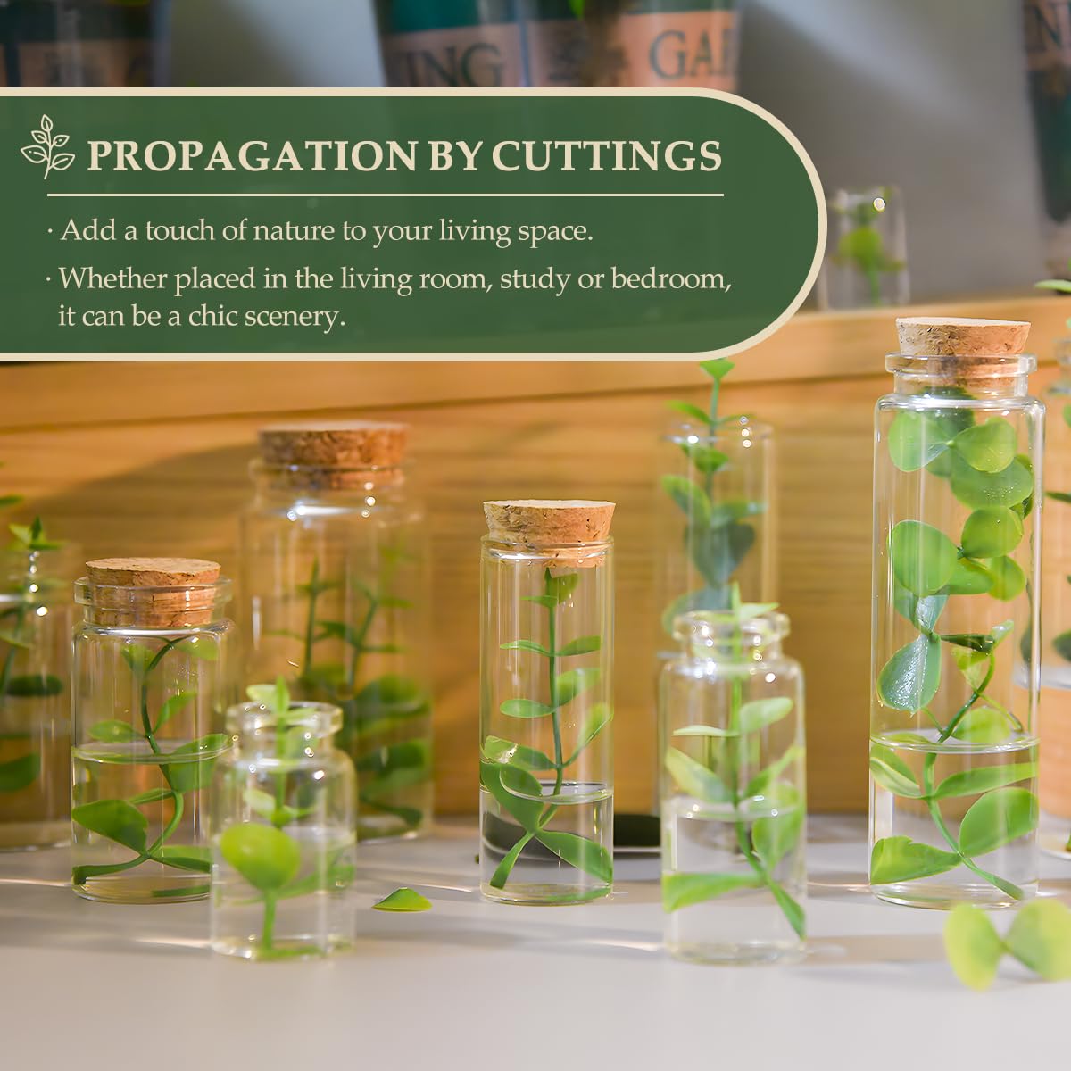 21-Pack 0.74 oz (22 ml) Glass Bottles & Test Tubes with Cork Stoppers – for Spell Jars, Spice Storage, DIY Favors, Travel Memories, Plant Propagation – Empty Recyclable Containers for Crafts, Kitchen