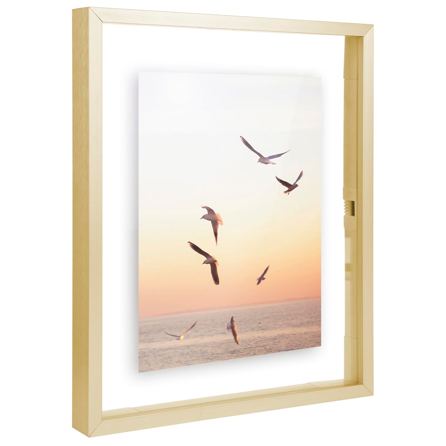 Frametory, 8x10 Floating Picture Frame - Metal Photo Frame - Real Glass - for Wall Mount or Tabletop Displays (Gold, 2 Pack)