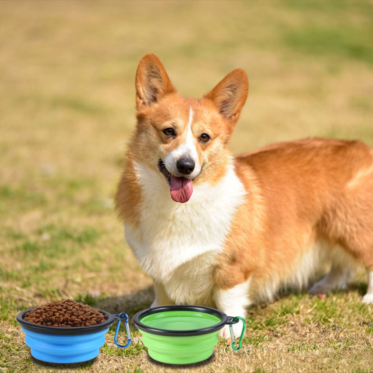 Collapsible Dog Bowl,2 Pack Portable and Foldable Pet Travel Bowls Collapsable Dog Water Feeding Bowls Dish for Dogs Cats and Small Animals,with Lids (Small, Blue+Green)