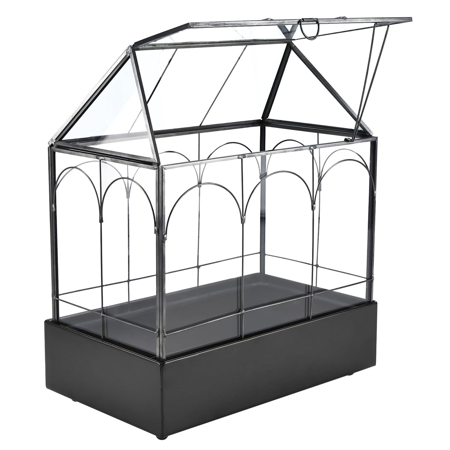 HighFree Glass Terrarium with Metal Tray, Glass Greenhouse Terrarium Kit for Succulents, Cacti, Snails, Spiders, and Miniature Reptiles, Black (Large-9.45" L x 5.7" W x 11.8" H)