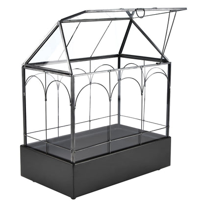 HighFree Glass Terrarium with Metal Tray, Glass Greenhouse Terrarium Kit for Succulents, Cacti, Snails, Spiders, and Miniature Reptiles, Black (Large-9.45" L x 5.7" W x 11.8" H)