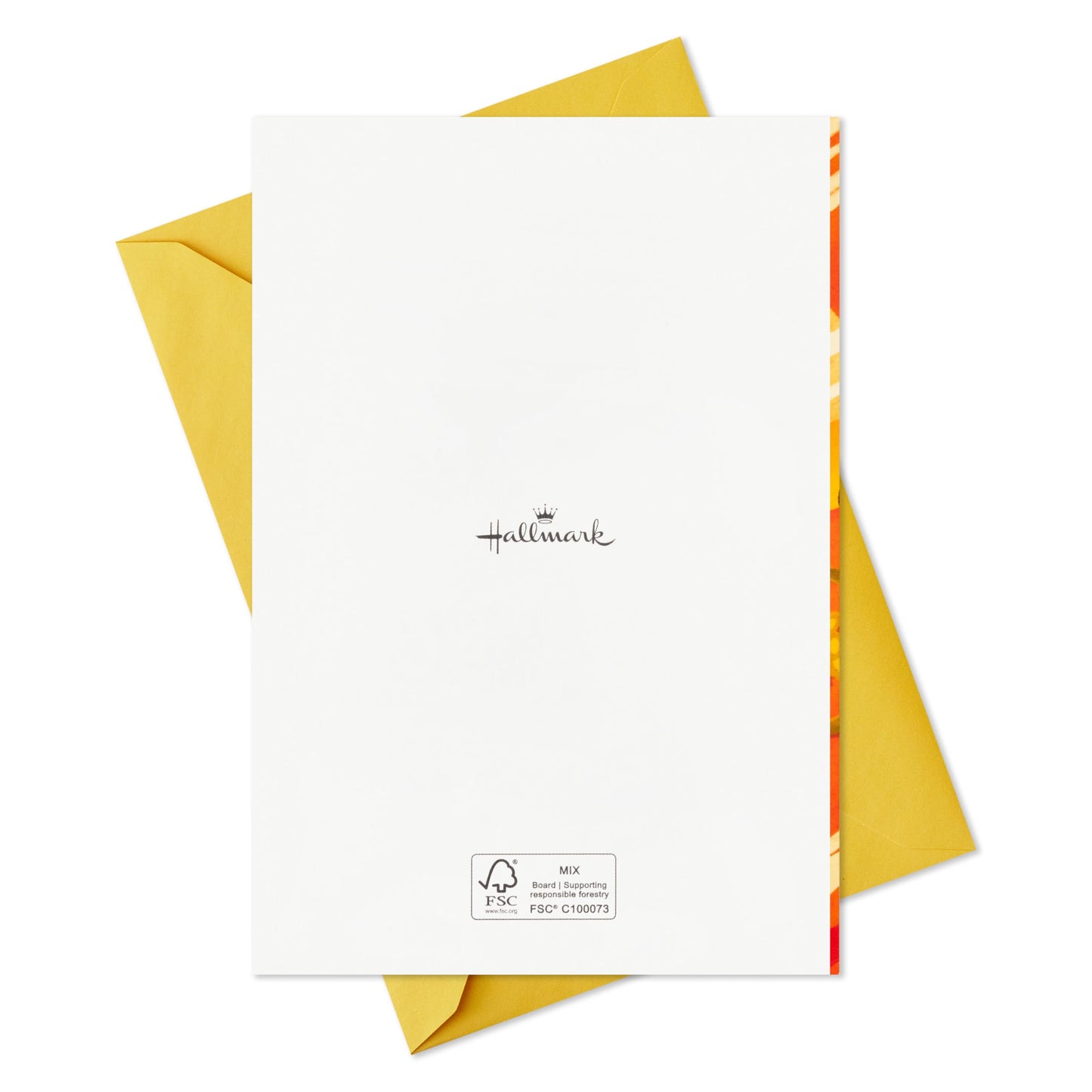 Hallmark Graduation Cards for Kids Bulk Assortment (36 Cards with Envelopes) Pizza, Nachos, Turtle, Cow, Donut for Preschool, Kindergarten, Elementary and More