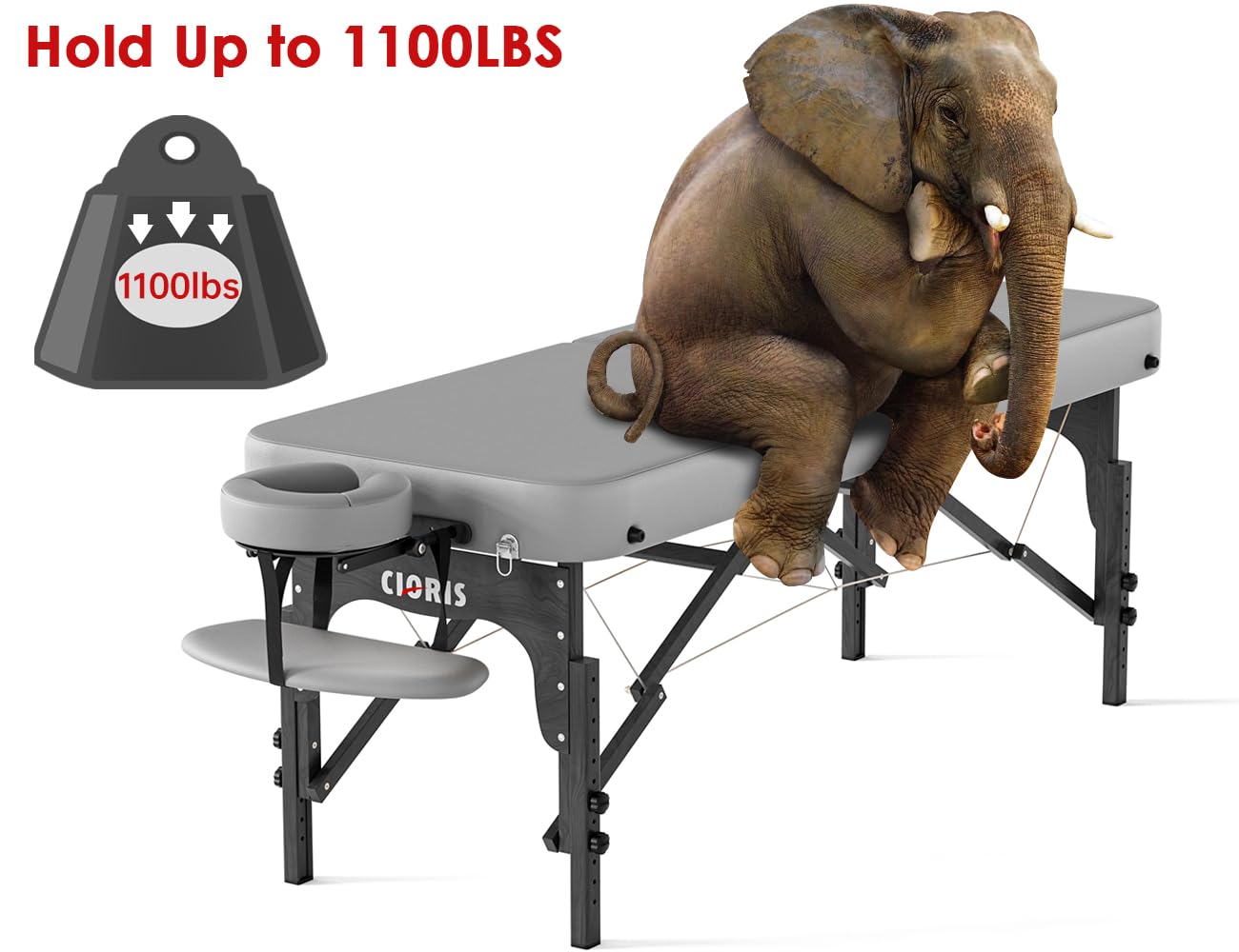 CLORIS 84" Professional Massage Table Portable Reinforced Wooden Leg 2 Folding Lightweight Spa Salon Tattoo Massage Bed Height Adjustable Hold Up to 1100LBS with Carrying Bag Grey