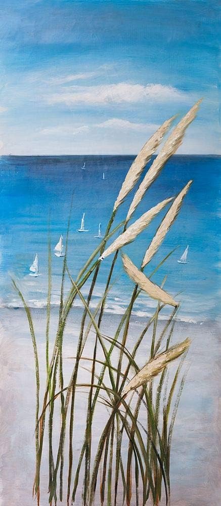 Posterazzi Collection Wild Herbs ON The Beach - Poster Print by Atelier B Art Studio (20 x 10).