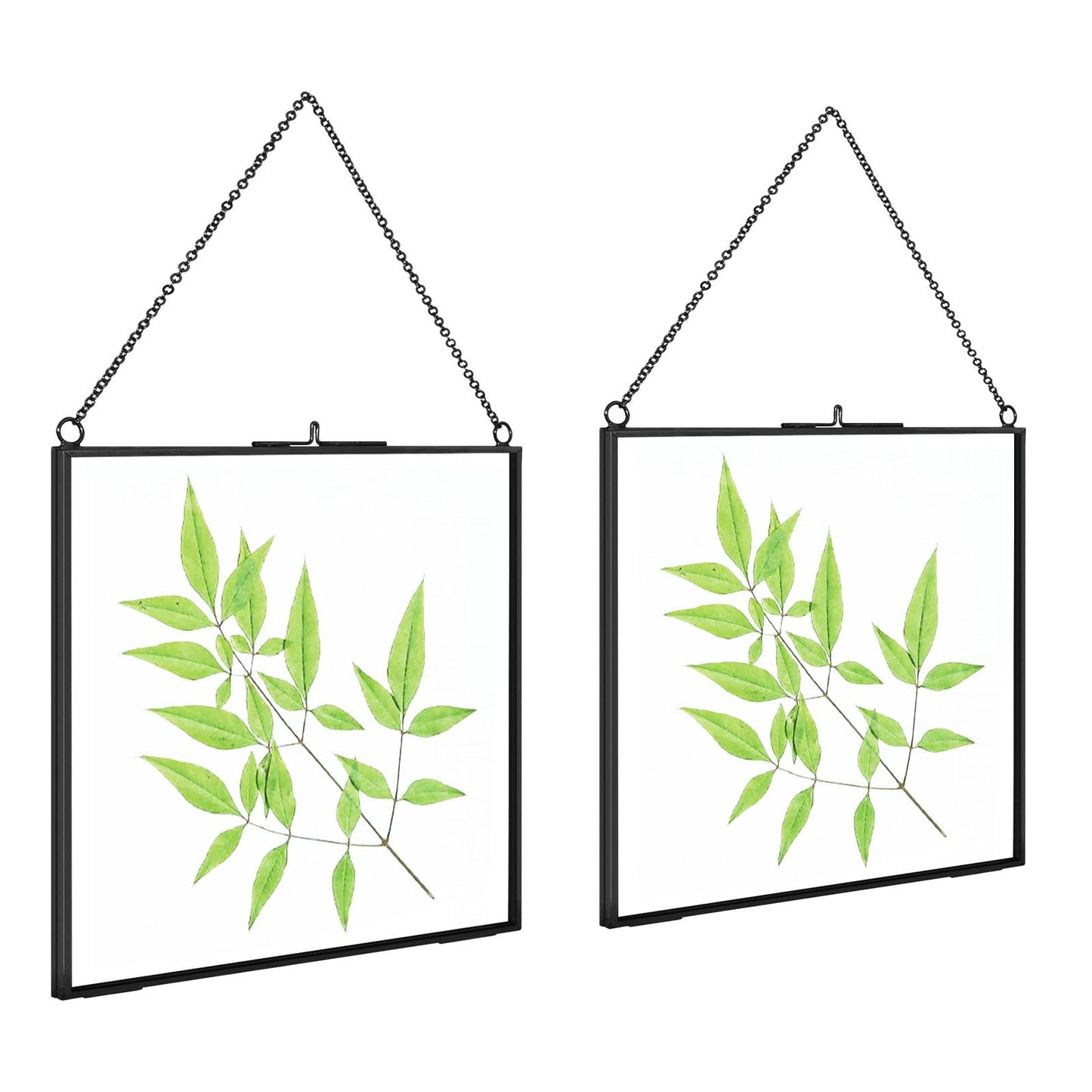 TLBTEK 2 PCS Black 8x8 inch Brass Hanging Photo Frame,Double Glass Frame for Pressed Flowers,Clear DIY Vintage Artwork Display Frame Wall Mounted Photos Frame