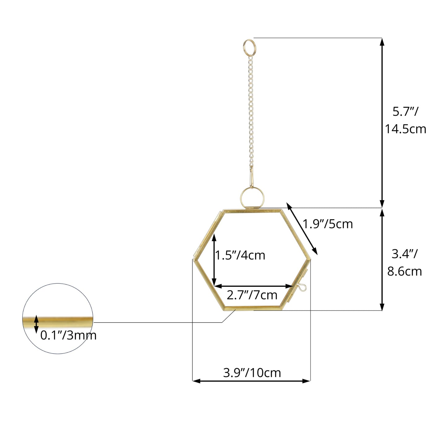 NCYP Mini Glass Floating Frame for Dried Flowers Plants, Photo - Side length 1.9 Inches - Wall Hanging Vertical Decor, Small Double Specimen Clip, Gold Hexagon (Glass Frame Only)