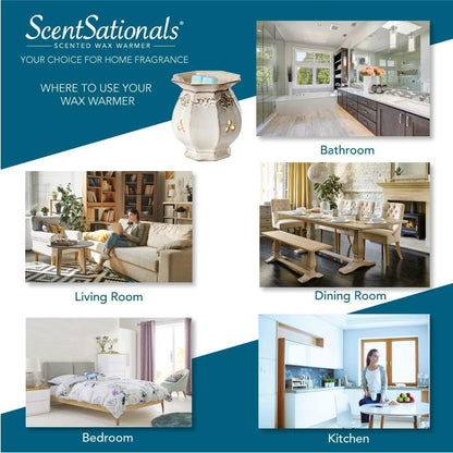 Scentsationals Wax Melts - Beach Please, Long Lasting Scented Melts for Warmer, 10oz (24-Cubes)