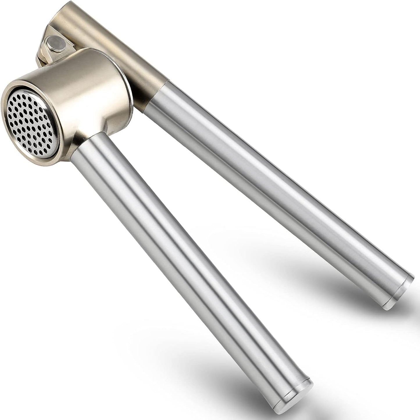Roeene 304 Garlic Press, Stainless Steel Garlic Mincer & Crusher, Heavy Duty, Easy Squeeze, Rust Proof, Easy Clean