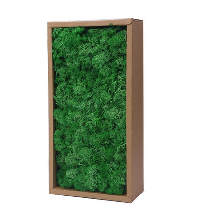 Preserved Reindeer Craft Moss-17.6oz Natural Green DIY Kit Gardenning Art Wall Florist Moss Terrariums Gardenning Decor Landscape Garden Decor(Leaf Green 17.6 OZ)