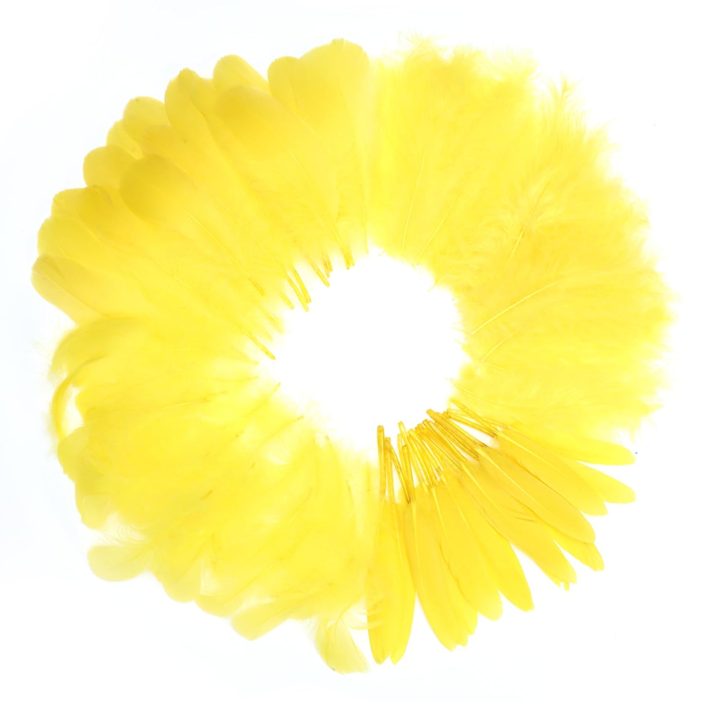 MWOOT 4 Styles Assorted Crafts Feathers (Yellow)