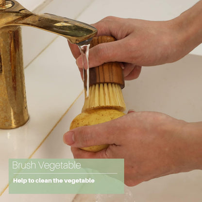 3PCS Set Teak Dish Scrub Brush by HTB, Good Grip Small Wooden Dish Brush with Teak Handle & Sisal Bristles for Kitchen