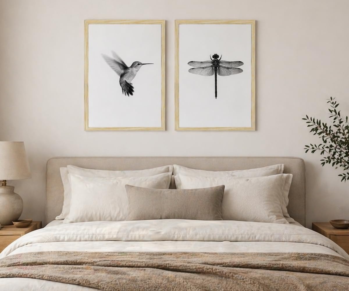 2pcs Black and White Minimalist Wall Art Modern Hummingbird Dragonfly Poster Print, Scandinavian Japandi Style Nature Picture Painting, Neutral Bedroom Living Room Wall Decor 12x16 Inches
