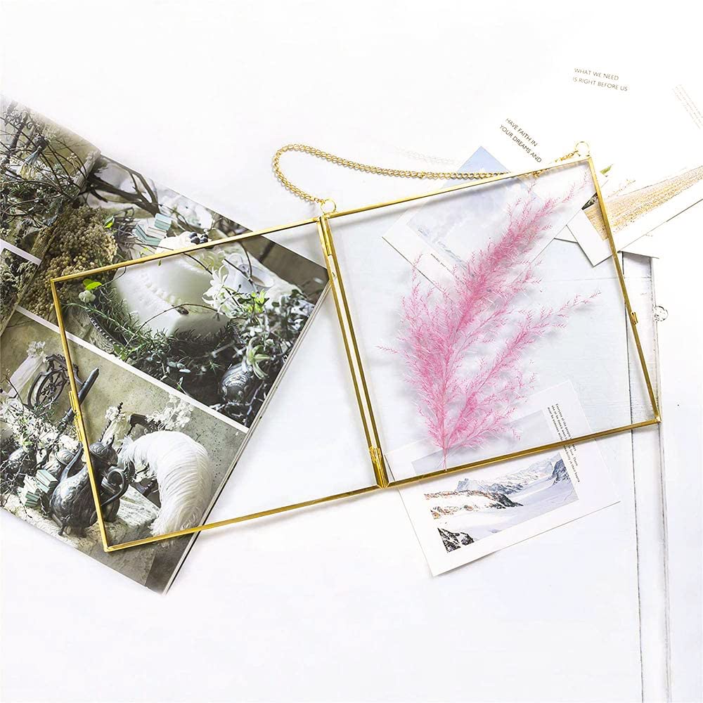 Pressed Flower Frame, Hanging Picture Frame for DIY Artwork Display Clear Glass Wall Brass Frames for Plant Specimen Dried Flower Square Photo Frame 6x6 - Gold