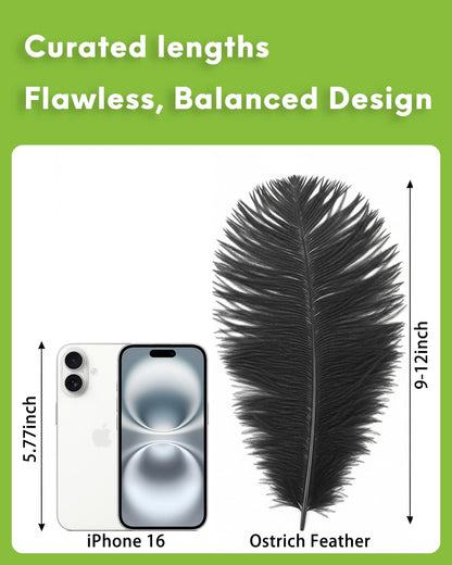 NEWONG 30pcs Black Ostrich Feathers Natural Bulk 9-12inch(23-30cm) Vase Craft Wedding Home Party Centerpieces Christmas Day Decoration