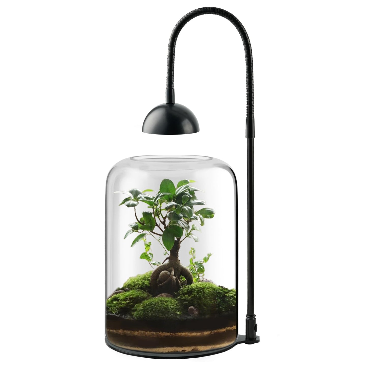 Xyingshine Glass Plant Terrarium with LED Grow Light & Adjustable Ventilation, 8.2" Desktop Terrarium for Venus Fly Trap, Moss & Succulents, Borosilicate Indoor Planter for Home Office Decor
