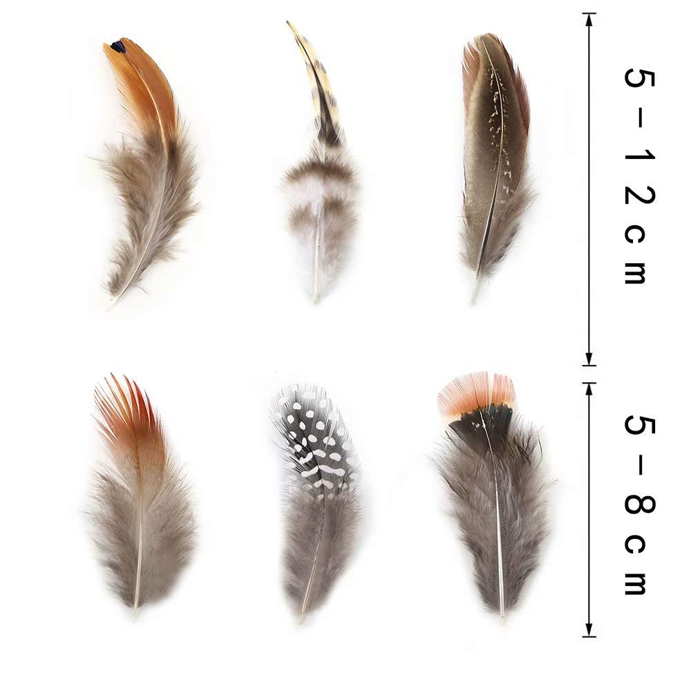 360pcs 12 Styled Natural Feathers Assorted Mixed Feathers for Jewelry and Dream Catcher Crafts