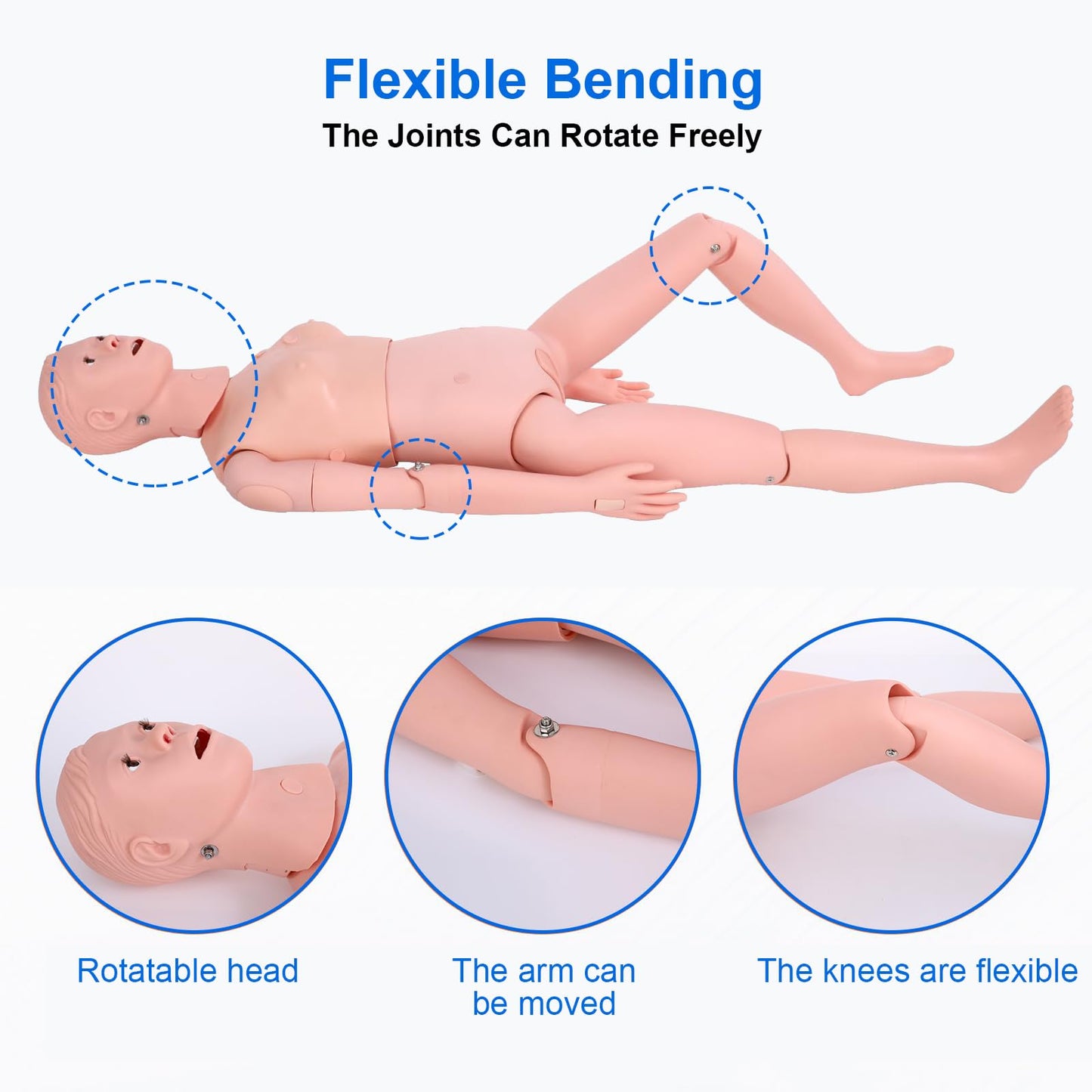 Medical Mannequin for Training, Female CPR Human Manikins Highly Simulated Patient Care Medical Manikin with 3 Muscle Module & Patient Gown & Urinary for Teaching Pratice (Famale)