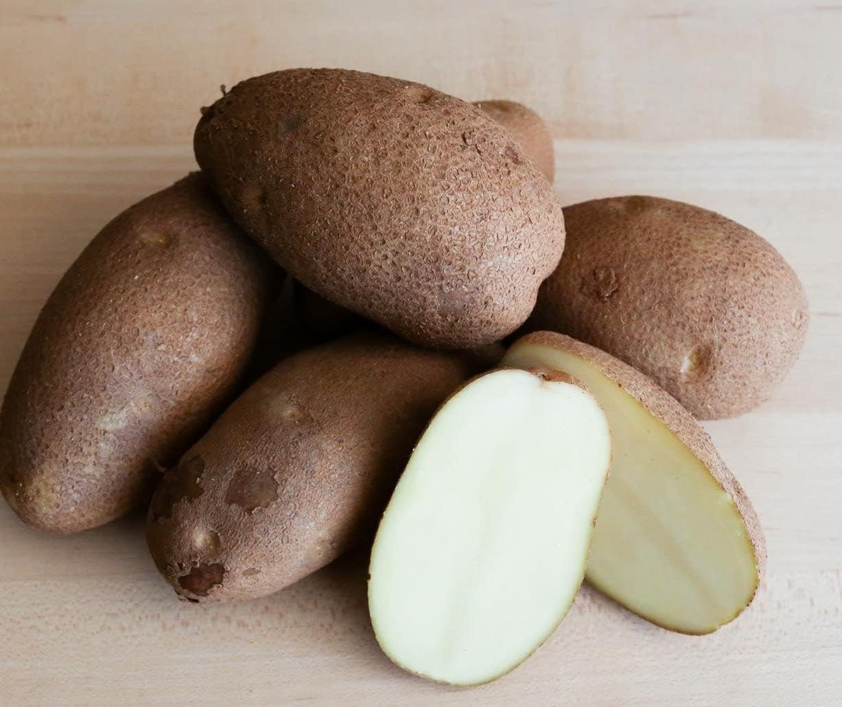 Russet Bulbs 2026-5 TomorrowSeeds - Seed Potatoes - USDA Certified for Growers Size B Non GMO Brown Burbank Idaho