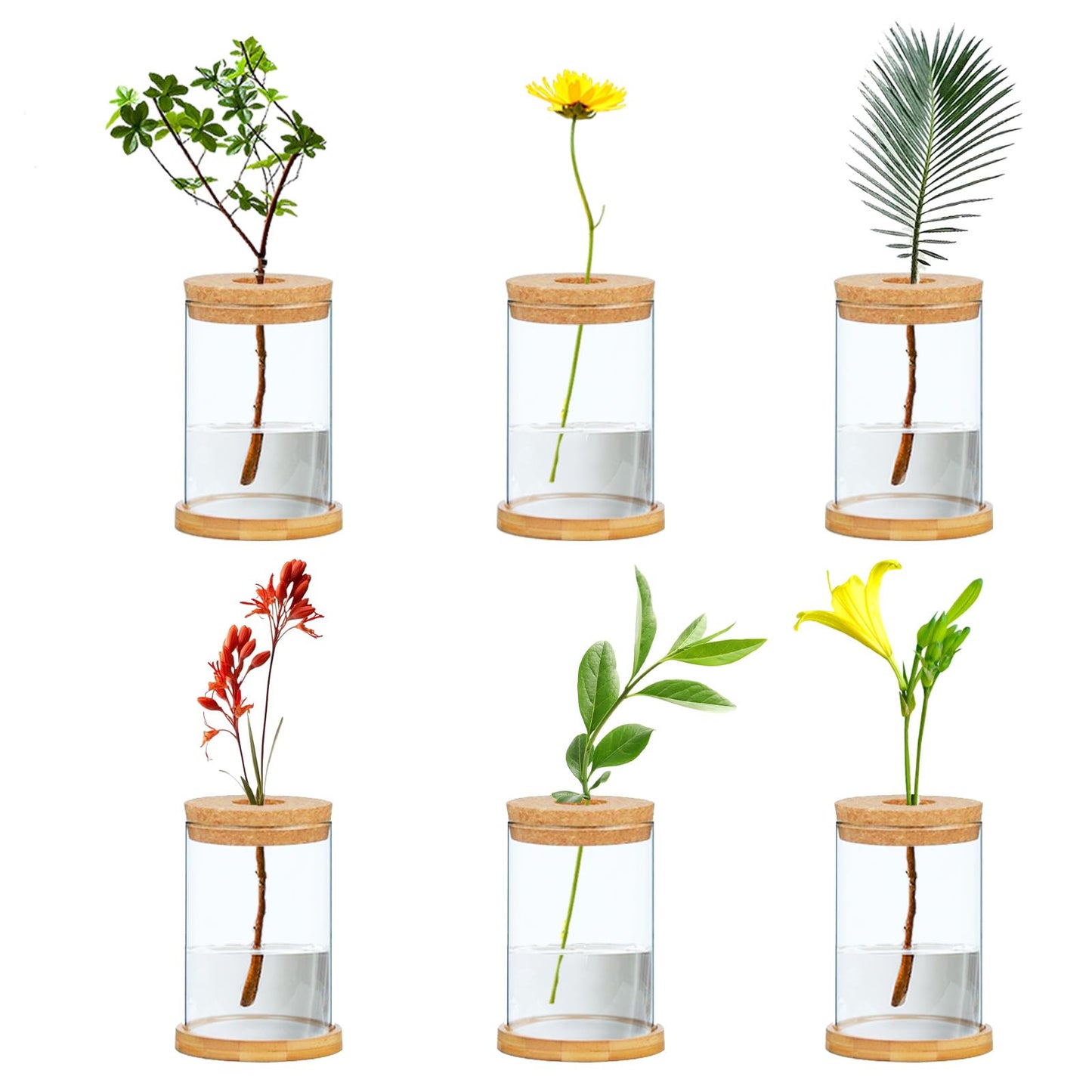 Hyuetrsa 6 Pcs Plant Propagation Terrarium Glass Propagation Vase Containers with Cork and Wooden Saucer for Hydroponic Plants Tabletop Decoration Jars for Plants (2.56 x 4 Inch)