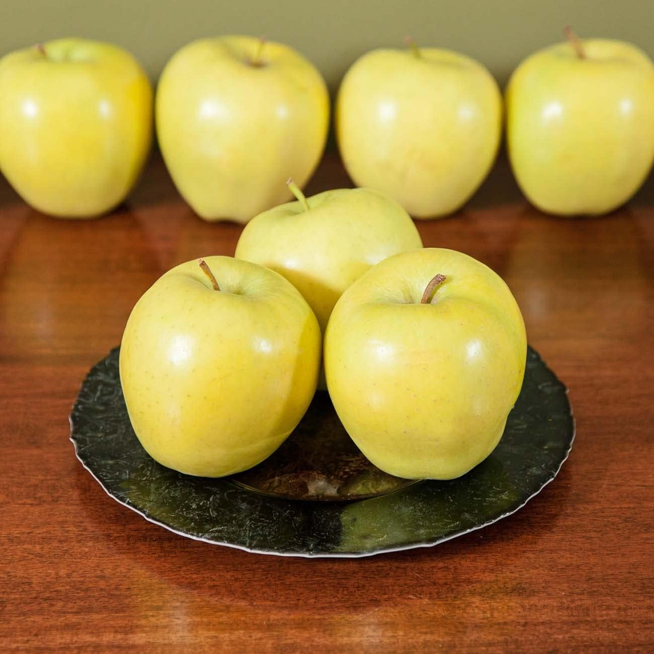 1 Perfect Plants Golden Delicious Apple Tree Gallon | Live Fruit Trees for Outdoor Planting | Self Fertile & Easy