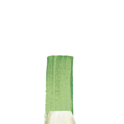 Winsor & Newton Winton Hog Bristle Brush Flat, 12, Green