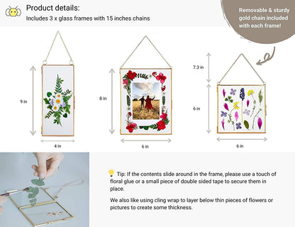Double Glass Frame for Pressed Flowers, Leaf and Artwork - Set of 3 Hanging Picture Frames, 6x6, 6x8, 4x9 Floating Pressed Flower Frames, Square and Rectangular Wall Decor Photo Display, Clear Metal Glass Frames with Chain (Gold)