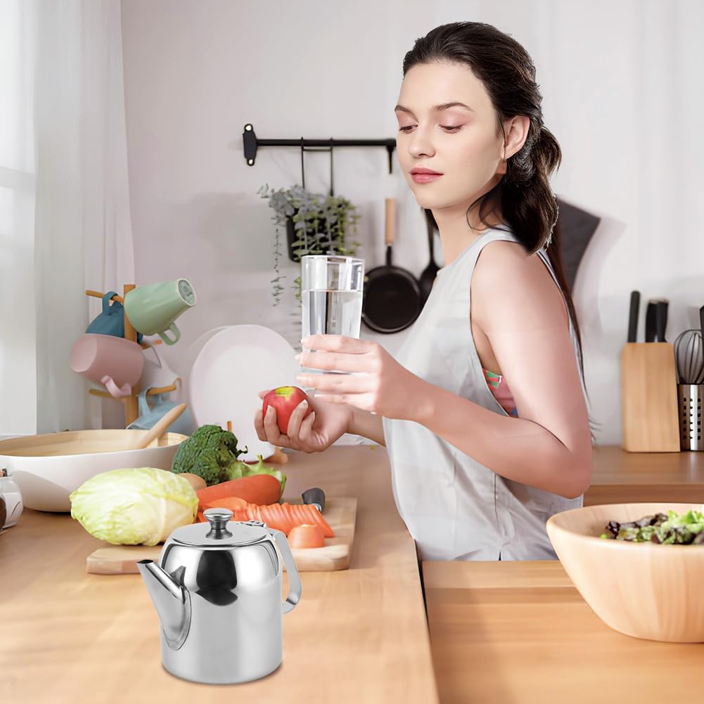 Cold Water Jug Teapot, 20 Ounces Stainless Steel Coffee Pot, Short Spout Tea Kettle for Home Kitchen