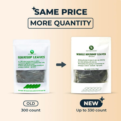 Soursop Leaf Tea – Up to 350 Dried Whole Leaves, 5.5 oz, Graviola Herbal Tea, Handpicked, Naturally Caffeine Free, Re-Steepable Loose Leaf, Smooth & Refreshing Flavor, Makes 100+ Cups