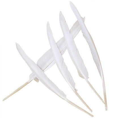 Bulk 28 pcs Natural White Goose Feathers,Long 10-12 inch (25-30cm) for Pen DIY Crafts,Wedding Centerpieces,Angel Wings,Parties (White)