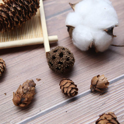 Apol Total 200 Pcs Natural Mini Pinecones Maple Fruit Ornament Set for Vase Fillers Photo Props DIY Home House Christmas Decoration Craft