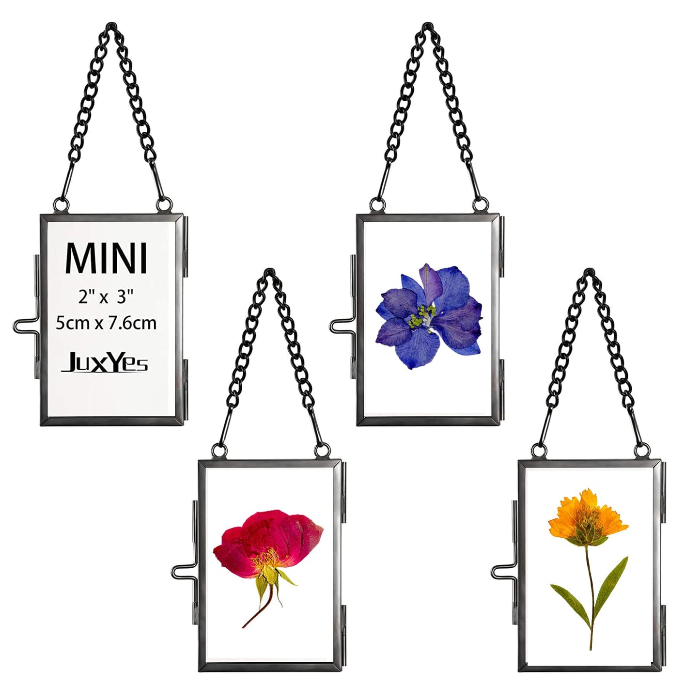 JUXYES Set of 4 Mini Wall Hanging Brass Frame for Pressed Flowers, Glass Hanging Picture Artwork Display Frames, Double Glass Floating Style Gallery Wall Frame for Picture, Pressed Flower, Poster, etc