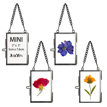 JUXYES Set of 4 Mini Wall Hanging Brass Frame for Pressed Flowers, Glass Hanging Picture Artwork Display Frames, Double Glass Floating Style Gallery Wall Frame for Picture, Pressed Flower, Poster, etc