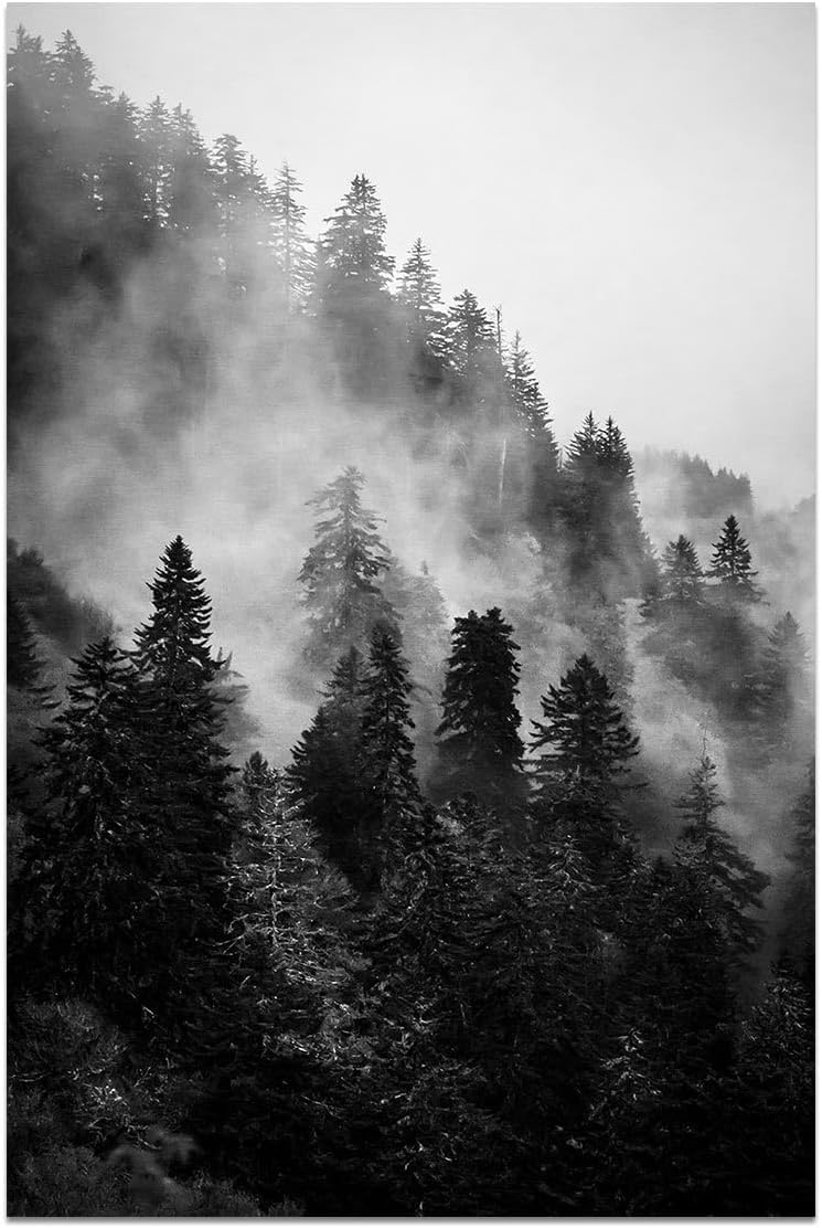 Forest Canvas Wall Art, Black and White Landscape Paintings Prints for Bedroom Living Room Decor (16x24in, Unframed)
