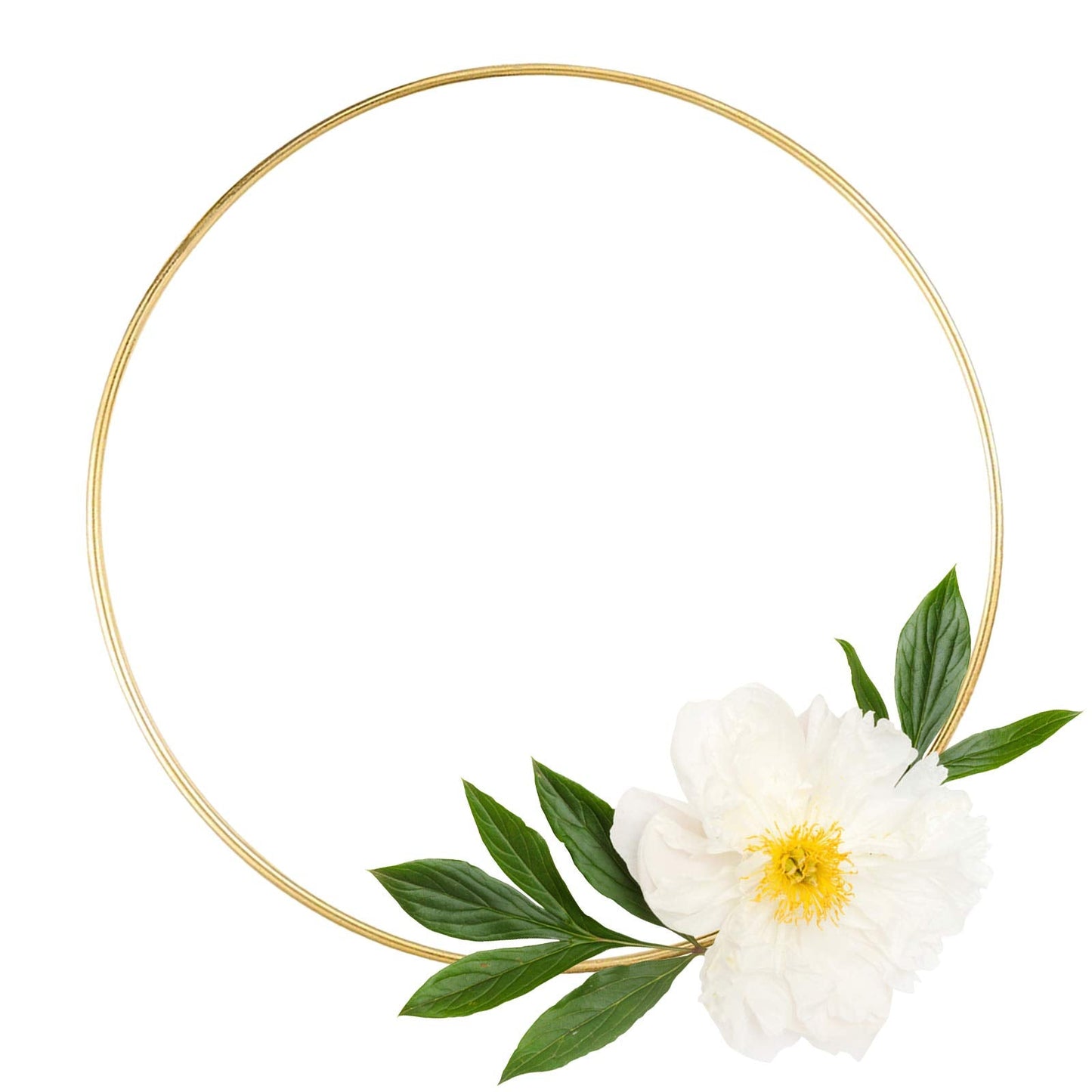 8 Pack Large Metal Floral Hoop Wreath Macrame Gold Hoop Rings(6 Inch8 Inch10 Inch 12 Inch) for Making Wedding Wreath Decor and DIY Dream Catcher Wall Hanging Crafts-Gold