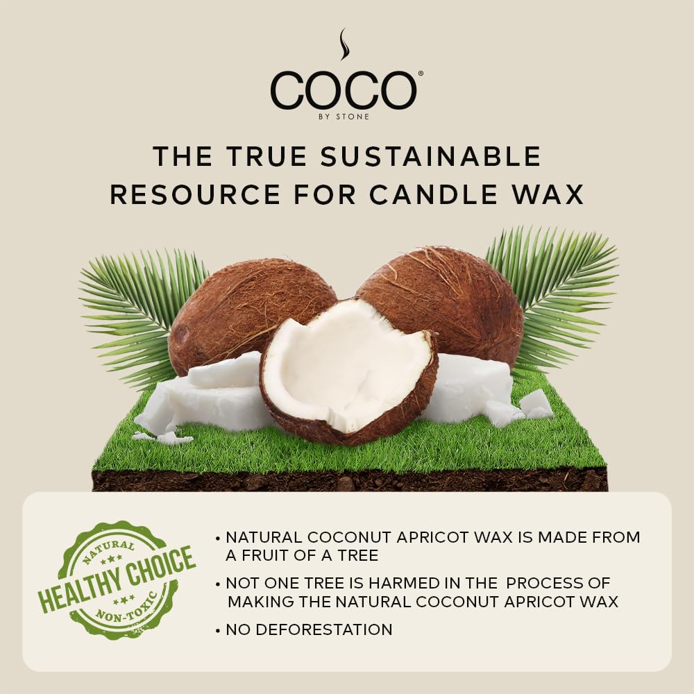 COCO by Stone 6.5oz Candle, Coconut Apricot Wax Candle for Home (Black Currant) Home Fragrance Products, 1 Wick, Enhance Indoor Aroma, Vegan & Cruelty-Free, Clean Burning and Hand Poured