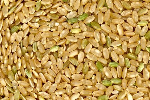 Seedville 100 Long Grain Brown White Rice Oryza Sativa Vegetable Seeds