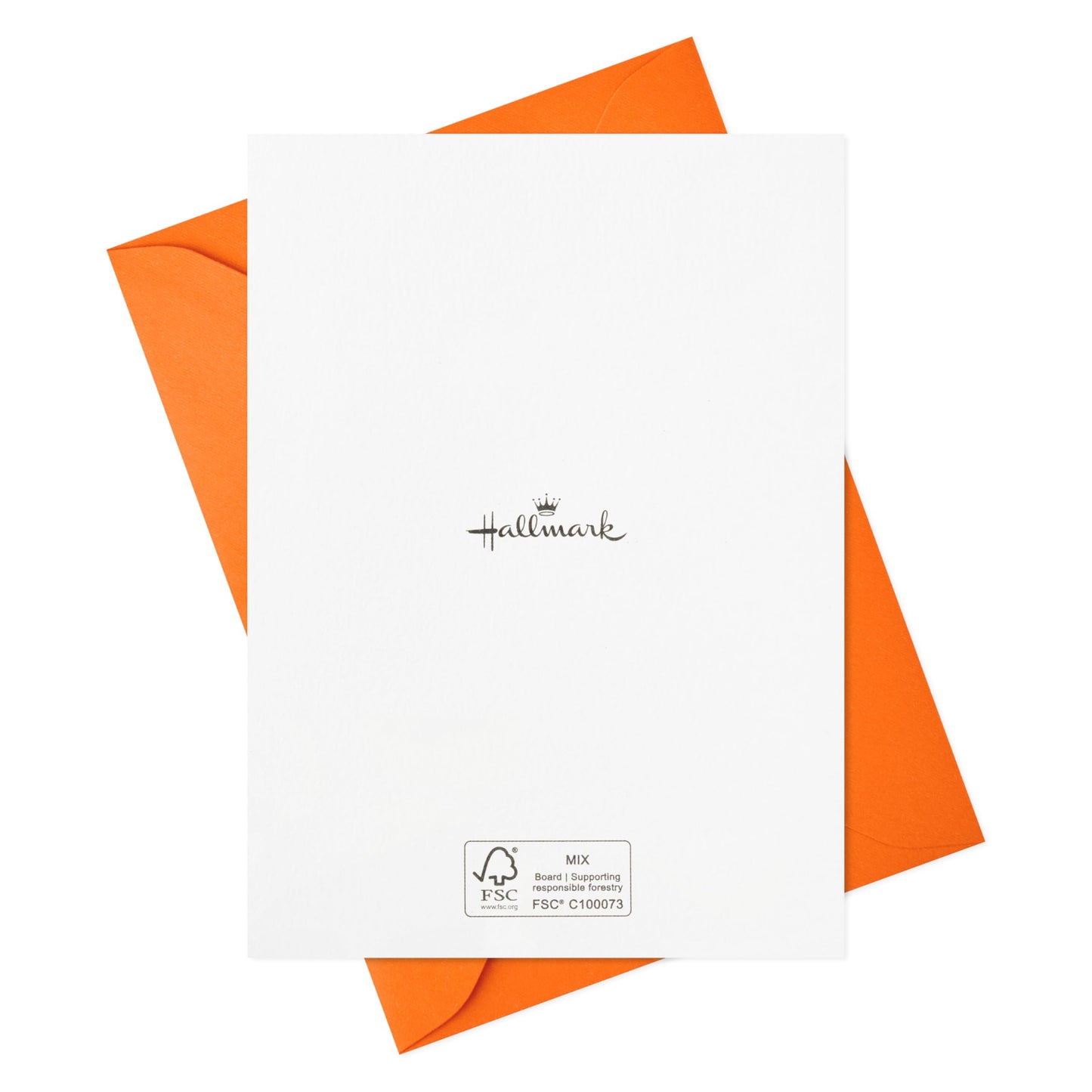Hallmark Retro Thank You Card Assortment (24 Blank Cards with Envelopes) Orange, Yellow, Green, Pink