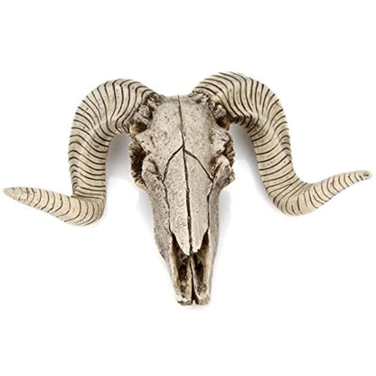 YOWOY Skull Sheep Head Wall Sculpture,Resin Ram Decorations,Ram Sheep Skull Decor - Animal Skeleton Sculpture Hanging Art Collectible (A)