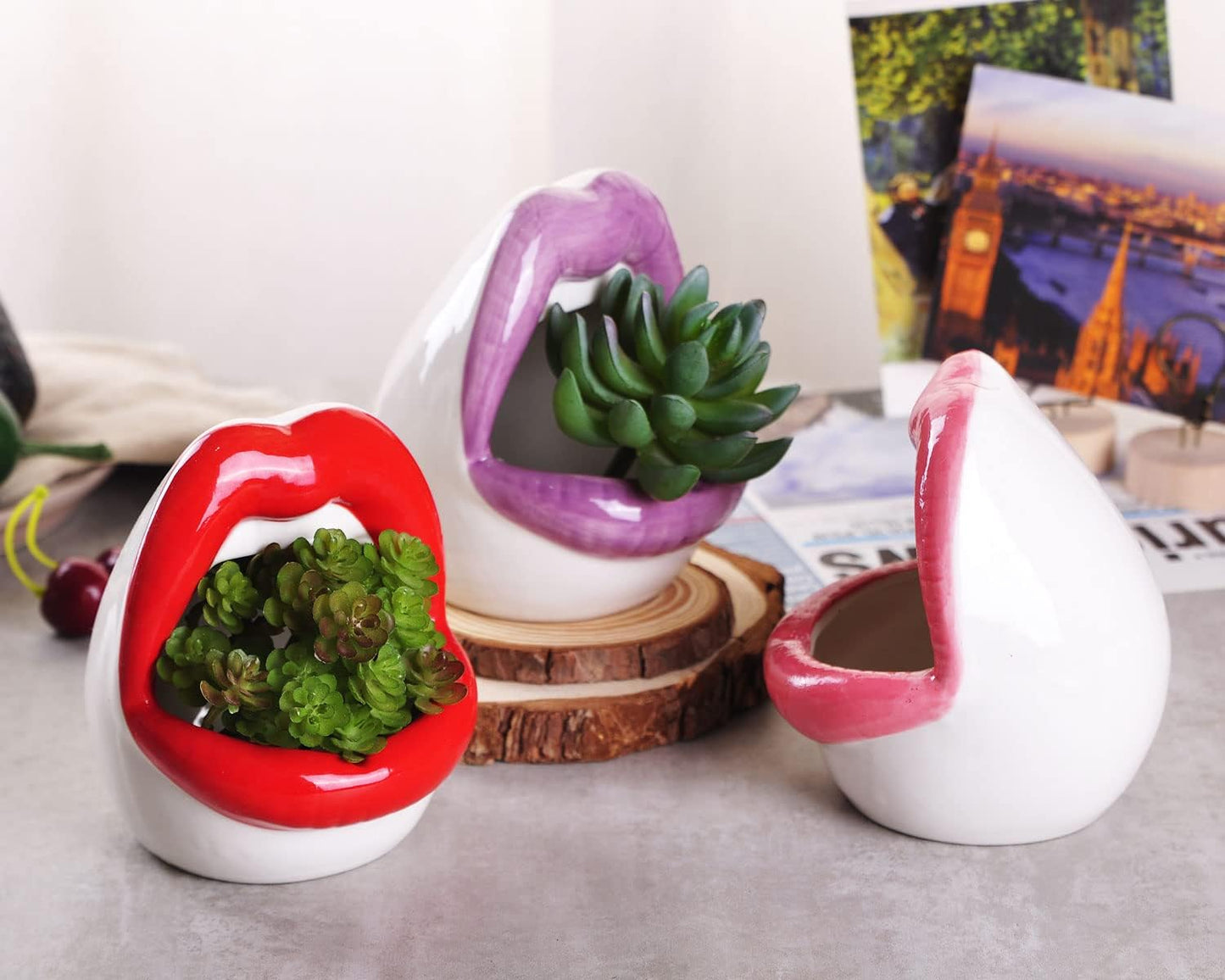 WHJY Sexy Lips Planter Pot, Pink Ceramic Succulent Planter