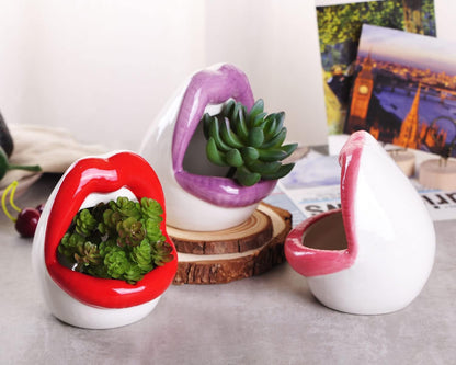 WHJY Sexy Lips Planter Pot, Pink Ceramic Succulent Planter