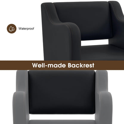 BarberPub Classic Salon Chair for Hair Stylist,Hydraulic Barber Styling Chair,Beauty Salon Spa Equipment 3802 (Black)