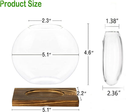 2-Pack, Kingbuy Round Glass Desktop Planter with Wooden Stand - Propagation Station for Small Hydroponic Plants, Spider